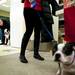 Harley looks into the photo studio area as they wait their turn to be photographed with santa on Saturday. Daniel Brenner I AnnArbor.com